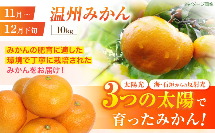 【2回定期便】※【2026年シーズン発送／先行予約】フルーツ定期便(シャインマスカット 約1.3kg(2～3房) / 温州みかん(10kg) 家庭用 / フルーツ定期便 果物定期便 シャインマスカット みかん / 諫早市 / 肥前グローカル株式会社 [AHDI012]