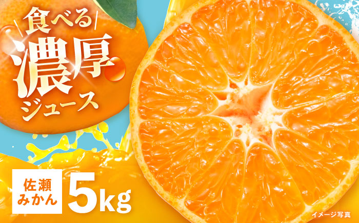 【食べる濃厚ジュース】佐瀬みかん 5kg / みかん ミカン 蜜柑 オレンジ 柑橘 フルーツ ふるーつ 果物 くだもの みかんジュース 甘い / 諫早市 / 一正 [AHFL001]