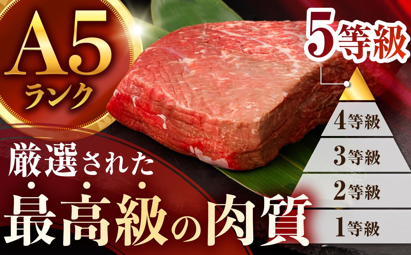 【豪快1kg塊肉】長崎和牛 A5 ブロック肉 1kg(霜降り・赤身) 2種食べ比べセット / 霜降り 赤身 2種 食べ比べ セット 和牛 国産 牛肉 ステーキ ローストビーフ BBQ 焼肉 / 諫早市 / 野中精肉店 [AHCW167]