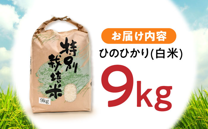 【最速発送】【特別栽培米】九州のこだわり「ひのひかり」白米9kg / 米 おこめ お米 白米 ひのひかり / 諫早市 / 上島農産  [AHAS003] スピード 最短 最速 発送