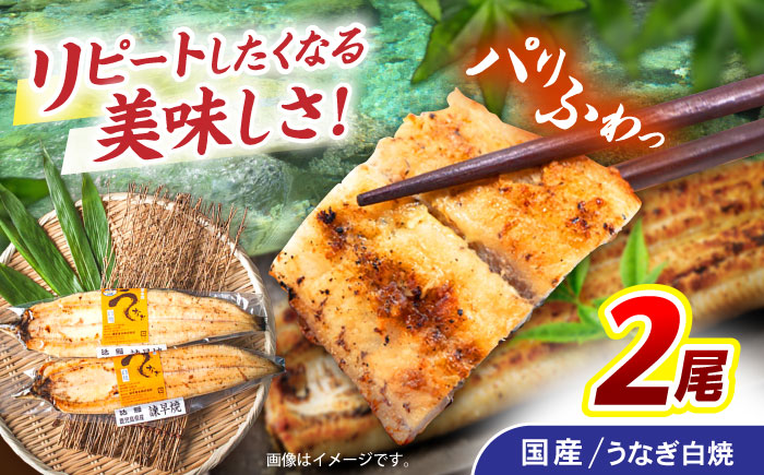 ＜諫早淡水＞うなぎ白焼き 2尾 / うなぎ ウナギ 鰻 白焼き 白焼 国産 冷凍 小分け / 諫早市 / 諫早淡水株式会社 [AHAT011]