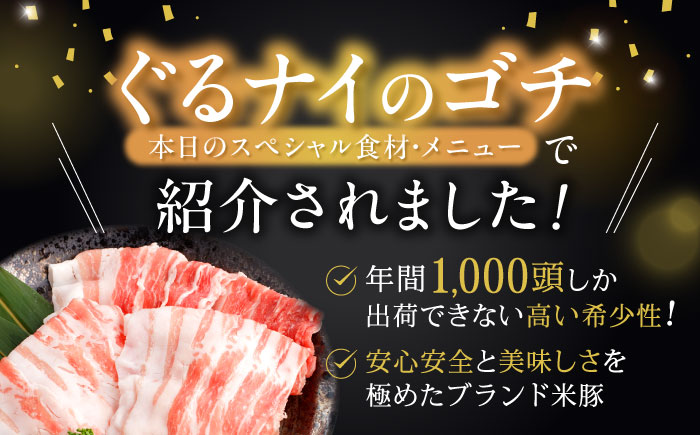 黒豚諫美豚プレミアム100 バラ肉 しゃぶしゃぶ用 500g（250g×2P） / 豚肉 ぶたにく バラ ばら 豚バラ しゃぶしゃぶ / 諫早市 / 株式会社土井農場 [AHAD073]