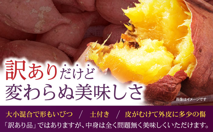 【訳あり】栽培期間中農薬不使用 安納芋 10kg / いも イモ 芋 さつまいも サツマイモ 安納芋 野菜 スイーツ / ふるさと有明ファーム [AHAQ001]