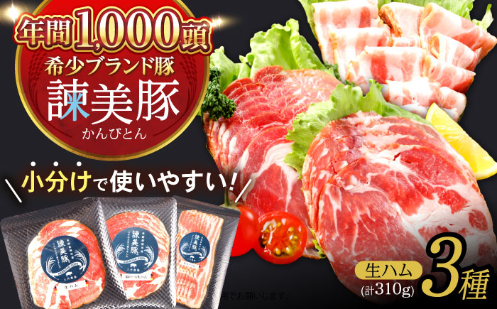 諫美豚 生ハム＆生ベーコン 3種セット計4P / 豚肉 ハム 生ハム ベーコン 生ベーコン ロース 肩ロース バラ 小分け / 諫早市 / 株式会社土井農場 [AHAD058]