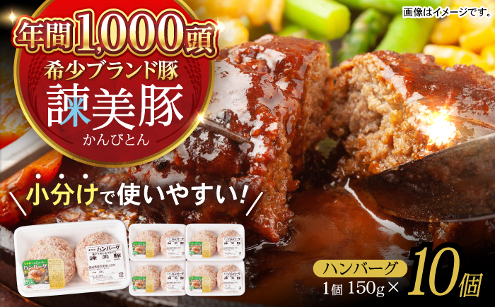 諫美豚ハンバーグ 10個(各150g) 計1.5kg / 豚肉 ハンバーグ はんばーぐ おかず 惣菜 冷凍 / 諫早市 / 土井農場 [AHAD064]