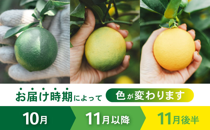 ※【2026年12月上旬より順次発送／先行予約】【ワックス不使用】国産 マイヤーレモン 5kg / レモン れもん 檸檬 フルーツ 果物 / 諫早市 / 山野果樹園 [AHCF004]