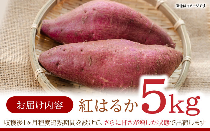 先行予約 栽培期間中農薬不使用さつまいも「紅はるか」 5kg / いも イモ 芋 さつまいも さつま芋 サツマイモ 紅はるか べにはるか スイーツ 栽培期間中農薬不使用 / 諫早市 / ふるさと有明ファーム [AHAQ004]