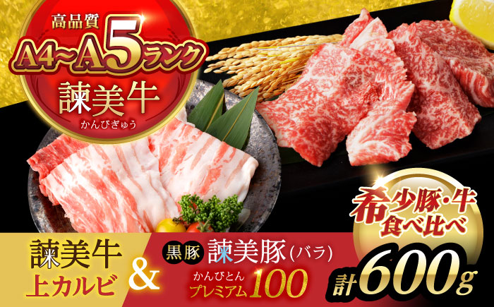 【ブランド牛＆ブランド豚の焼肉食べ比べ】諫美牛 上カルビ 300g ＆ 黒豚諫美豚プレミアム100 バラ肉 300g / カルビ 牛肉 食べ比べ A5 焼肉 豚バラ スライス ぶた ばらすらいす 小分け 肉 薄切り / 諫早市 / 株式会社土井農場 [AHAD103]