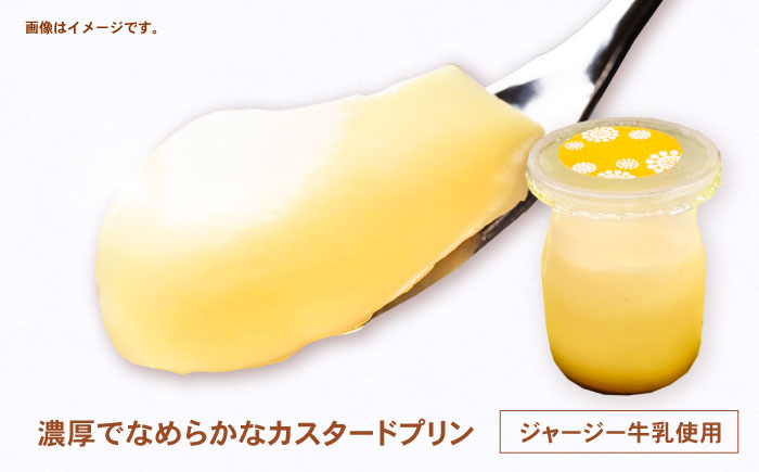 【年内配送】(12/23入金分まで)地元で大人気のなめらかプリン(6個入り) / プリン ぷりん 卵 カスタード カラメル なめらか / 諫早市 / ケーキショップ・ジタン [AHCR002]