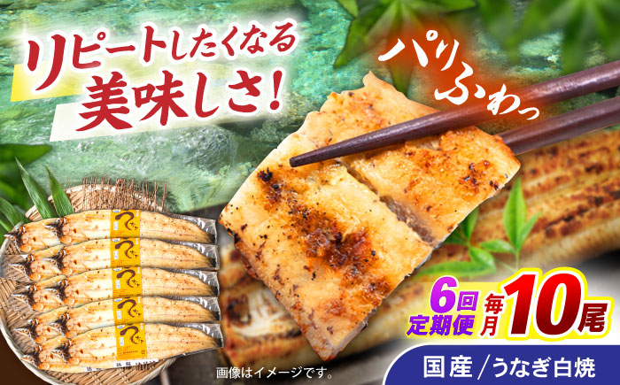 【6回定期便】【諫早淡水】うなぎ白焼き10尾  / うなぎ 白焼き 栄養価 小分け 冷凍 / 諫早市 / 諫早淡水 [AHAT043]