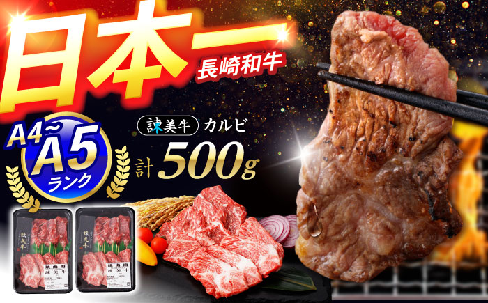 【特Aのブランド米で育てた】諫美牛 カルビ 500g(250g×2) / 牛肉 ぎゅうにく 和牛 牛 肉 国産 かるび 焼肉 やきにく / 諫早市 / 株式会社土井農場 [AHAD091]