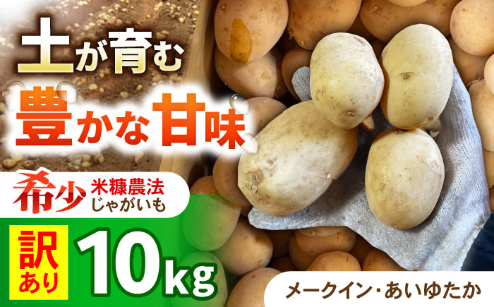 【訳あり】ジャガイモ(品種ミックス)　10kg / 諫早市 / 未来ファーム [AHEY005]