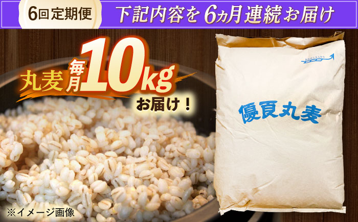 【全6回定期便】 長崎県産 丸麦 10kg / 麦 むぎ 雑穀 雑穀米 麦ごはん 麦飯 麦みそ 食物繊維 / 諫早市 / 有限会社伊東精麦 [AHBU007]