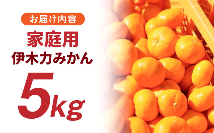 伊木力みかん（家庭用）5kg / みかん ミカン 蜜柑 フルーツ 果物 / 諫早市 / 山野果樹園 [AHCF002]