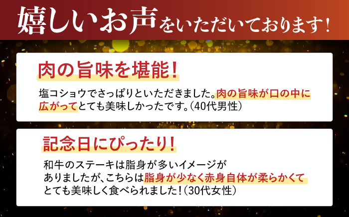 【6回定期便】長崎和牛 A5 ヒレステーキ 300g(150g×2枚) / ヒレステーキ 長崎和牛 A5 希少部位 / 諫早市 / 野中精肉店 [AHCW048]