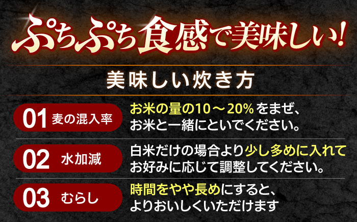 押麦「長崎御島」1kg×10袋 計10kg / 麦 むぎ 押麦 はだか麦 麦味噌 雑穀 雑穀米 食物繊維 長崎県産 米 こめ コメ ※ / 諫早市 / 有限会社伊東精麦 [AHBU009] 