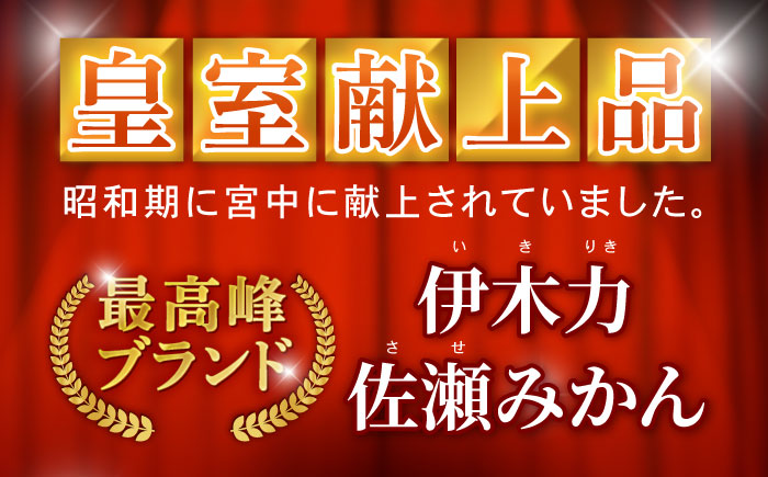 伊木力みかん 5kg / みかん ミカン 佐瀬みかん 伊木力みかん 濃い 温州みかん 薄皮 5kg / 諫早市 / 伊佐農園 [AHFI015]