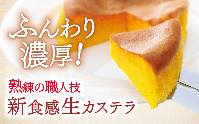 長崎ご当地スイーツシースクリームと半熟カステラ詰合せ / スイーツ シュークリーム カステラ かすてら 菓子 / 諫早市 / 株式会社梅月堂 [AHBN001] 