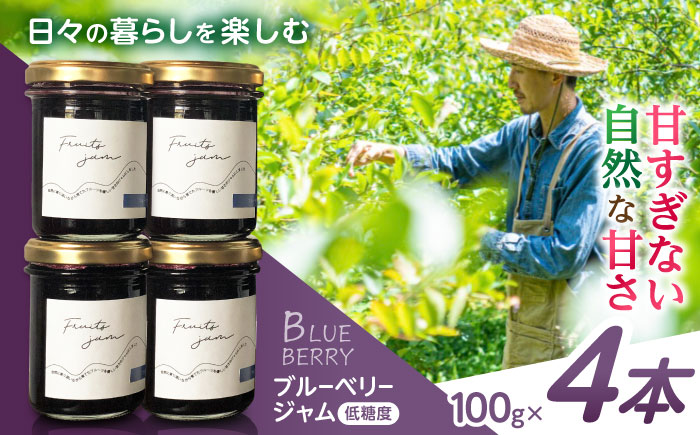 ブルーベリージャム 4本SET / ブルーベリー ジャム パン フルーツ / 諫早市 / のんびり山 [AHBA002]