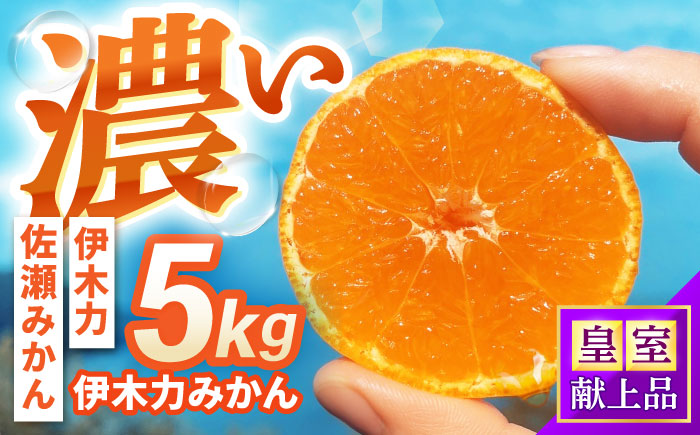 伊木力みかん 5kg / みかん ミカン 佐瀬みかん 伊木力みかん 濃い 温州みかん 薄皮 5kg / 諫早市 / 伊佐農園 [AHFI015]