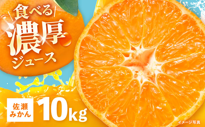 【食べる濃厚ジュース】佐瀬みかん 10kg / みかん ミカン 蜜柑 オレンジ 柑橘 フルーツ ふるーつ 果物 くだもの みかんジュース 甘い / 諫早市 / 一正 [AHFL002]