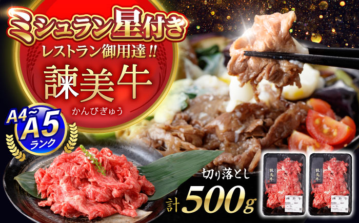 【特Aのブランド米で育てた】諫美牛 切り落とし 500g(250g×2) / 牛肉 ぎゅうにく 和牛 牛 肉 国産 切り落とし 切り落し 切りおとし / 諫早市 / 株式会社土井農場 [AHAD090]