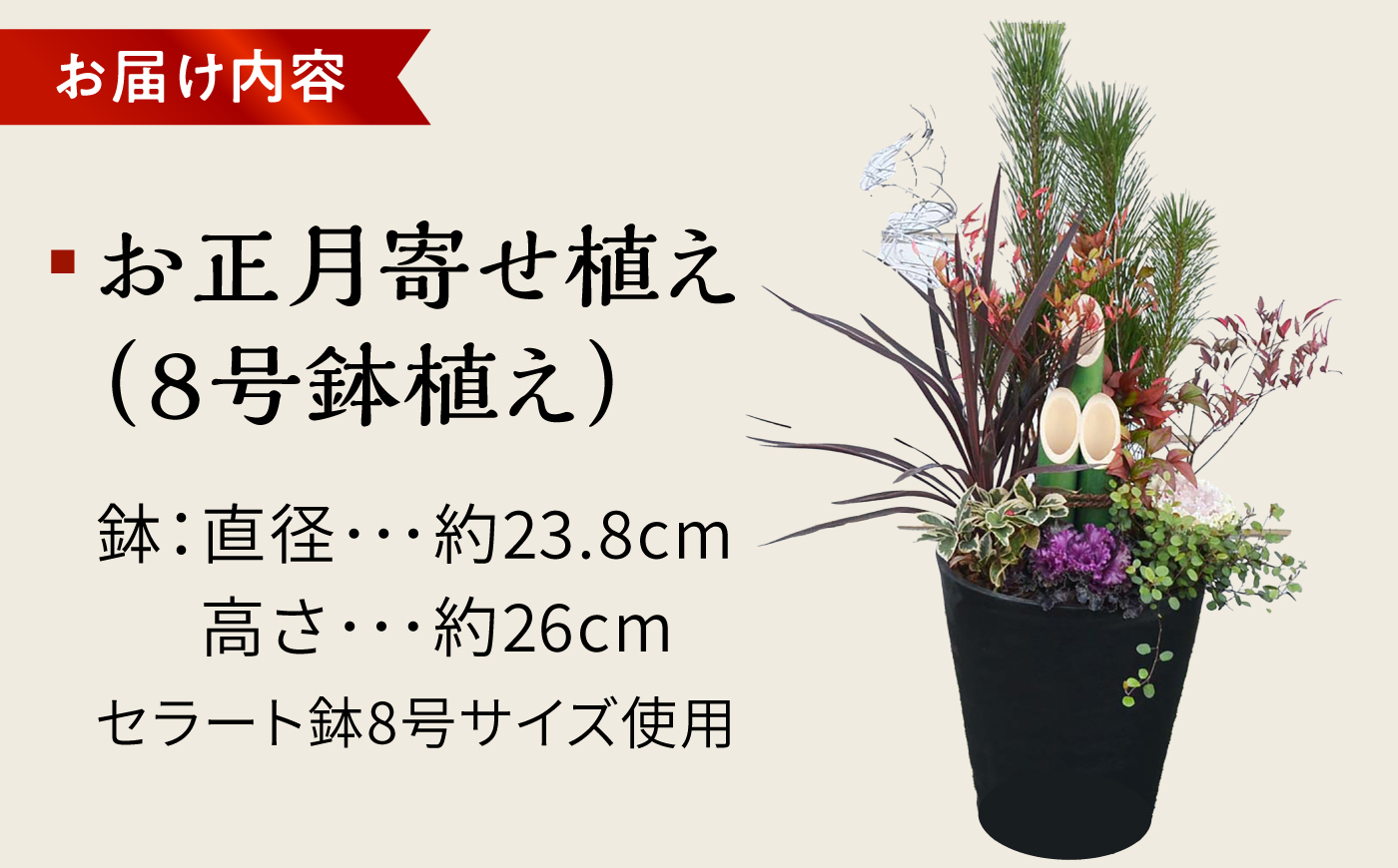 【先行予約】お正月寄せ植え 大村市 アトリウム琴花園/縁起物 年末年始 お正月飾り 門松 お正月 記念 お祝い インテリア [ACZZ013]