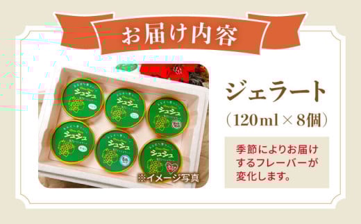 シュシュの季節のジェラート8個セット / アイス あいす アイスクリーム あいすくりーむ ジェラート じぇらーと スイーツ すいーつ / 大村市 / おおむら夢ファームシュシュ[ACAA010]