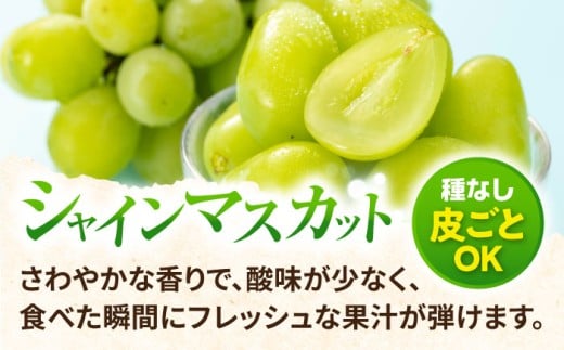 【2026年8月中旬より順次発送予定】シャインマスカット・ぶどうセット 約1.5kg / 先行予約 シャインマスカット しゃいんますかっと マスカット ますかっと ブドウ ぶどう 葡萄 フルーツ ふるーつ 果物 くだもの 期間限定 数量限定 / 大村市 / おおむら夢ファームシュシュ[ACAA007]