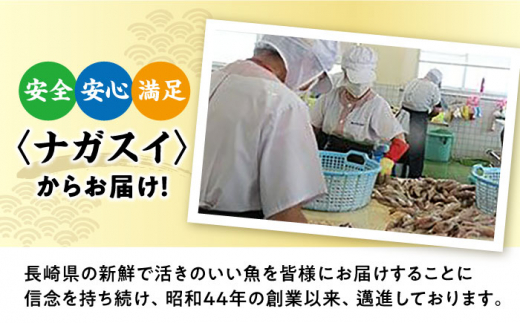 【3回定期便】長崎県産えいひれ 500ｇ / えいひれ エイヒレ 国産 おつまみ / 大村市 / 株式会社ナガスイ [ACYQ053]