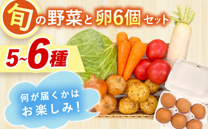 採れたてお野菜おまかせ（5〜6種）・卵6個セット/ 野菜 やさい 野菜セット 野菜詰め合わせ 詰め合わせ セット たまご 卵 タマゴ 紅たまご こだまさんち / 大村市 / かとりストアー [ACAN105]