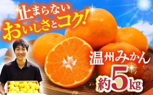 【11月中旬頃～1月中旬配送】長崎県産 温州みかん 約5kg / みかん 柑橘 5kg フルーツ 果物 / 大村市 / 山光農園[ACAI002]