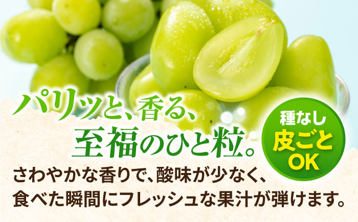 【2026年8月中旬以降発送開始】 シャインマスカット 3〜4房 約2kg/マスカット シャイン ぶどう 葡萄/大村市/おおむら夢ファームシュシュ [ACAA481]