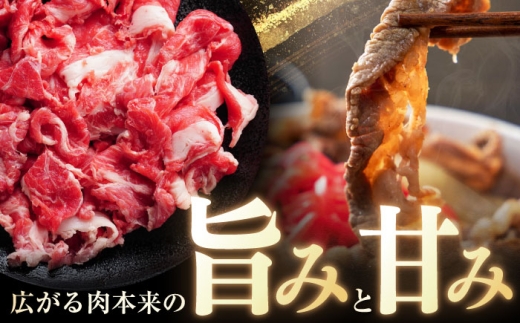 長崎和牛切り落し（モモ・バラMIX）約1kg（約500g×2P）/ 牛肉 和牛 切り落とし 切落し 切り落とし肉 赤身 モモ もも モモ肉 もも肉 バラ ばら バラ肉 ばら肉 小分け 1k 牛 / 大村市 / まるしん商会[ACCD022]