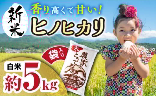 長崎県産 ヒノヒカリ 約5kg / 米 おこめ お米 白米 ひのひかり / 大村市 / かとりストアー[ACAN008]
