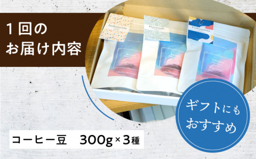 【全12回定期便】スペシャルティコーヒー定期便 毎月300g×3種 / コーヒー 飲み比べ 詰合せ / 大村市 / 株式会社大村湾商事 [ACBG013]