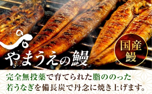 大村 うなむすび 5個入り / うなぎ おむすび  おにぎり / 大村市 / お料理やまうえ[ACZL001]