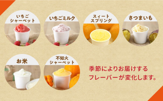 シュシュの季節のジェラート8個セット / アイス あいす アイスクリーム あいすくりーむ ジェラート じぇらーと スイーツ すいーつ / 大村市 / おおむら夢ファームシュシュ[ACAA010]