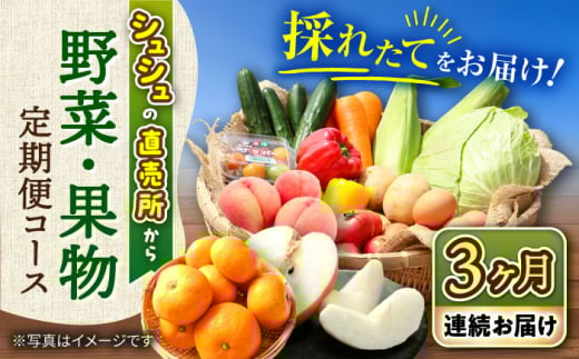 【3回定期便】シュシュの直売所から野菜・果物定期便コース / 便利な定期便 バラエティ定期便 フルーツ 定期 野菜セット 野菜 定期便 果物 くだもの フルーツ フルーツ定期便 / 大村市 / おおむら夢ファームシュシュ[ACAA164]
