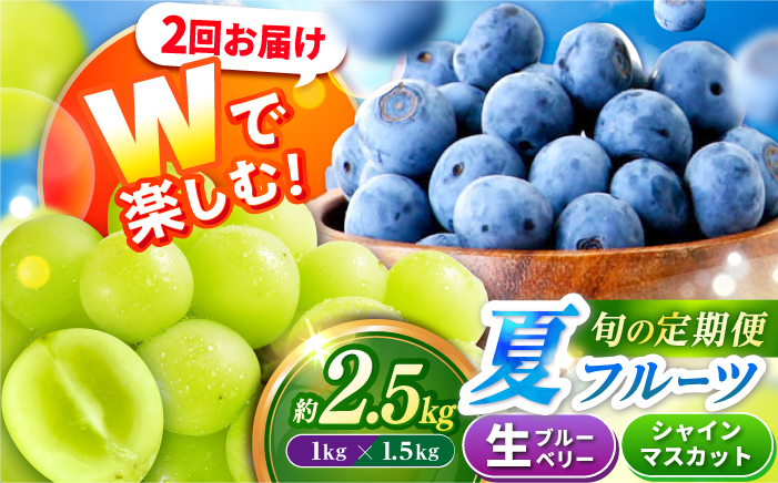 フルーツ2回定期便（ブルーベリー 約1kg・シャインマスカット 約1.5kg） 大村市 おおむら夢ファームシュシュ/ ブルーベリー ぶるーべりー ぶどう ブドウ 葡萄 フルーツ定期便 シャインマスカット [ACAA492]