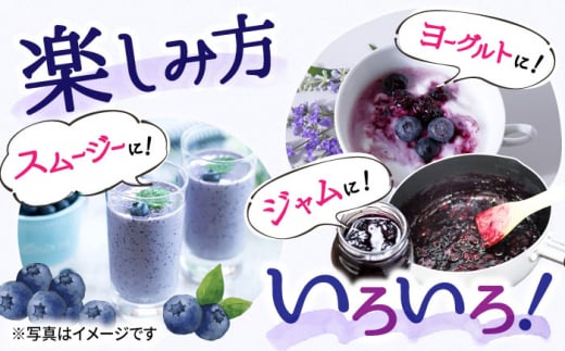 【2026年7月上旬頃より順次発送予定】冷凍ブルーベリー 1kg（250g×4袋）/ ベリー べりー ブルーベリー ぶるーべりー 冷凍 小分け 果物 くだもの フルーツ ふるーつ / 大村市 / おおむら夢ファームシュシュ[ACAA004]