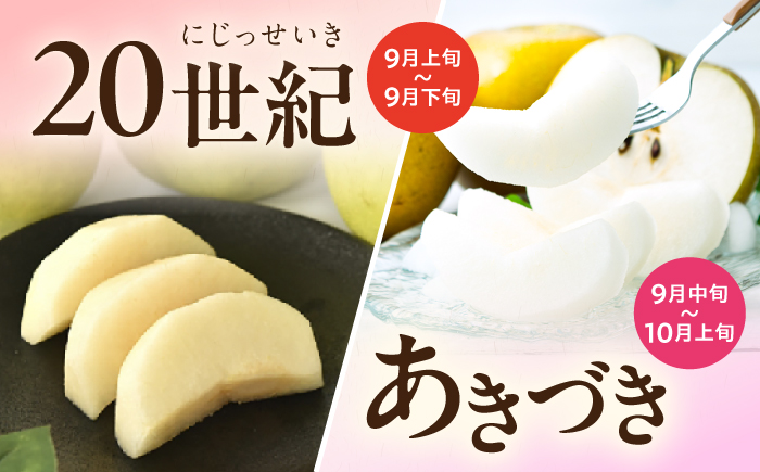 長崎県産 朝採り旬の梨 約2.5kg 6玉 大村市 産直松吉/梨 なし 幸水 豊水 秋麗 あきづき 新高 20世紀 二十世紀 かんた [ACZC011]