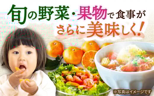 【5回定期便】旬の農産物 ぶどうコース / 野菜 やさい 果物 くだもの フルーツ ふるーつ 産地直送 ぶどう 葡萄 ブドウ フルーツ定期便 / 大村市 / おおむら夢ファームシュシュ[ACAA120]