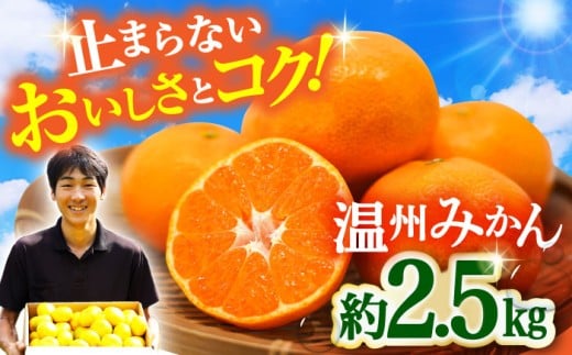 【11月中旬頃～1月中旬配送】長崎県産 温州みかん 約2.5kg / みかん 柑橘 2.5kg フルーツ 果物 / 大村市 / 山光農園[ACAI001]