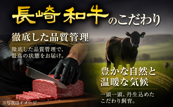 長崎和牛ヒレ&シャトーブリアンステーキ 食べ比べ 各約150g×2枚 計600g / ヒレ ひれ ヒレ肉 ヒレステーキ シャトーブリアン シャトー 赤身 赤身ステーキ ステーキ すてーき 和牛 牛肉 肉 牛 / 大村市 / まるしん商会 [ACCD035]