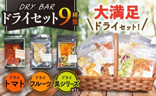 DRY BAR ドライバー Aセット 9種類 ドライフルーツ / ドライフルーツ お菓子 菓子 間食 おやつ / 大村市 / ファームいまみっちゃん[ACYL001]