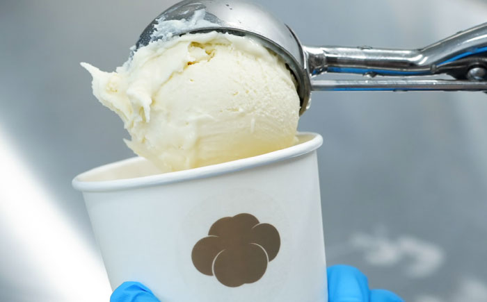 長崎・そのぎ茶と壱岐の塩のジェラート 6個セット / ジェラート そのぎ茶 彼杵茶 お茶 抹茶 焙じ茶 アイス デザート / 大村市 / ちわたや [ACCC030]