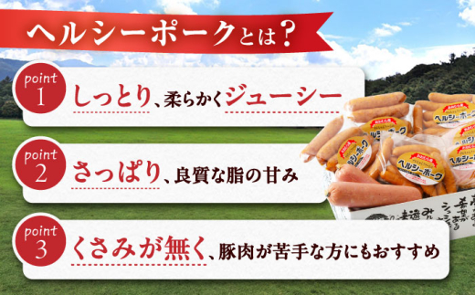 【6回定期便】ナルちゃんファーム ハムセット1.05kg sp / ウインナー ハム 食べ比べ 詰め合わせ / 大村市 / おおむら夢ファームシュシュ [ACAA348]