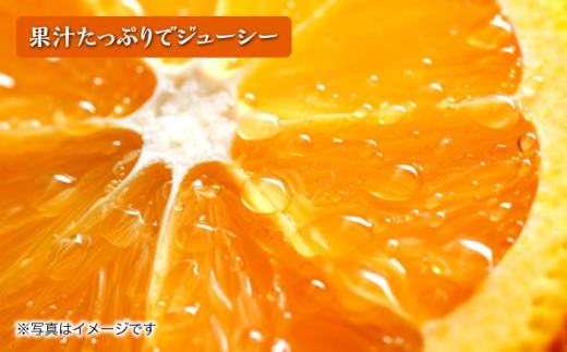 【2026年4月より順次発送予定】不知火 5kg　/ しらぬい みかん 果実 柑橘 / 大村市 / おおむら夢ファームシュシュ [ACAA299]