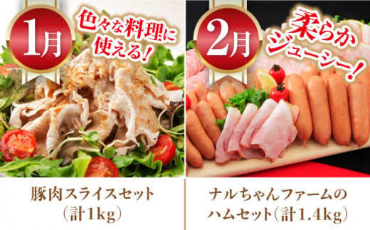 【12回定期便】豚肉＆旬の農産物 梨コース（ 豚肉 いちご 野菜 果物 ハム 梨 みかん ）/ 便利な定期便 バラエティ定期便 バラエティ / 大村市 / おおむら夢ファームシュシュ[ACAA125]